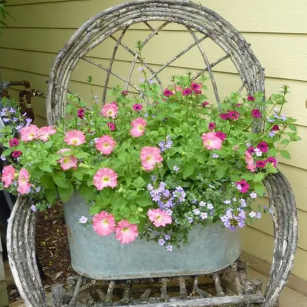 Meet your Posher, Patrice